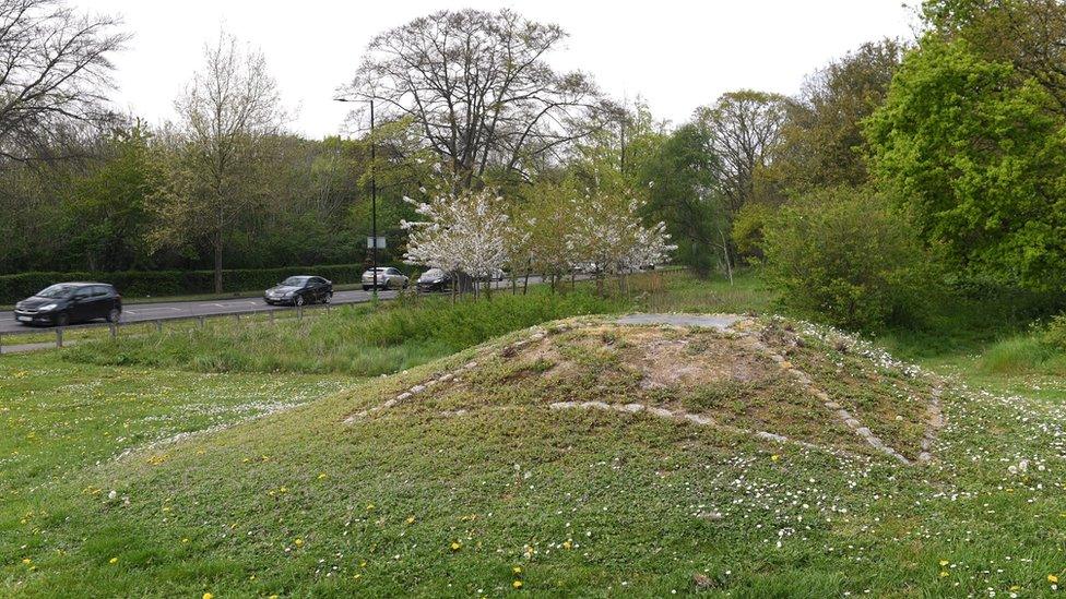 The roadside verge where the grave was discovered