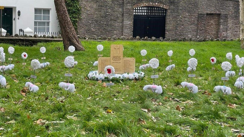 Knitted poppies Torquay