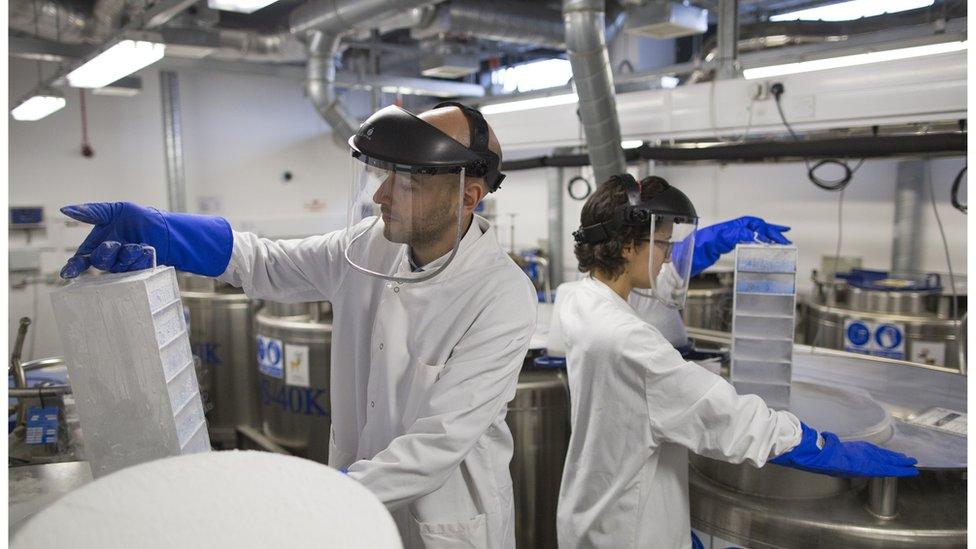 Scientists at the Cancer Research UK Cambridge Institute