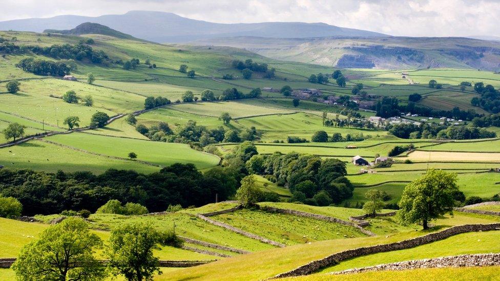 The Yorkshire Dales