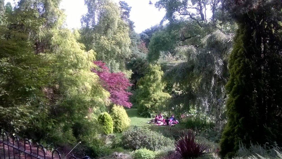 Alpine garden at Fletcher Moss Park