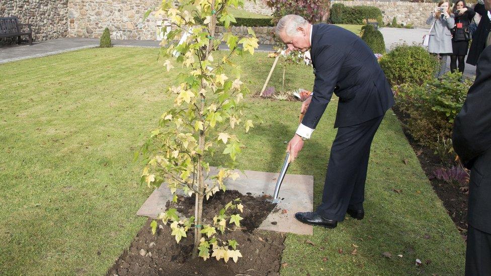 Charles yn Aberfan