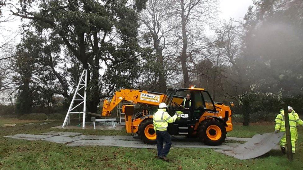 A rescue plan is under way to try to save the tree