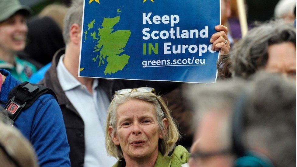 Scottish protester