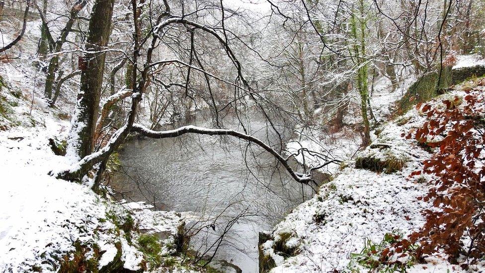 Afternoon stroll along the River Taff Quakers Yard Treharris by Chris Phillips