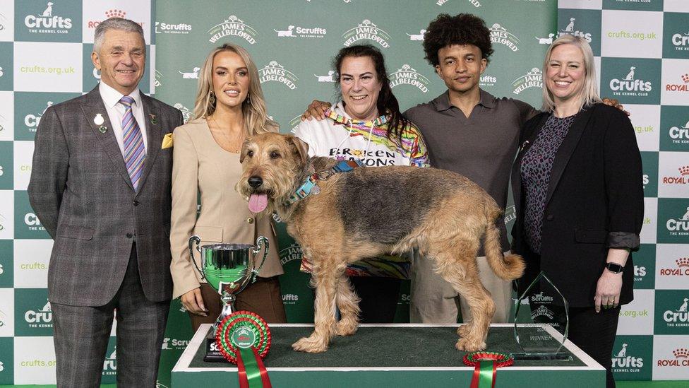 Diesel, his owner Claire, and judges at Crufts