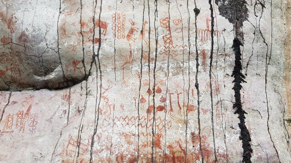 Rock art in the Amazon