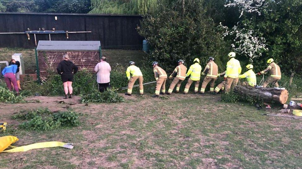 Firefighters rescuing horse from ditch