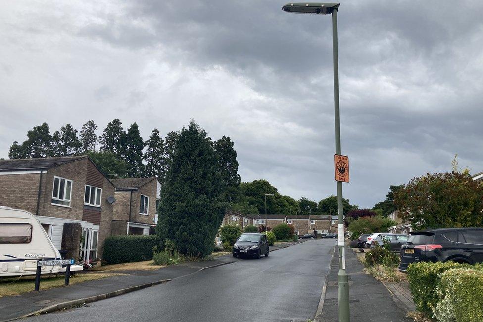 Holly Hedge road