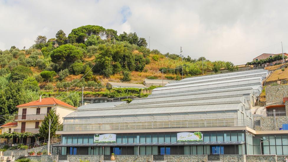 Terraced greenhouses in Pra