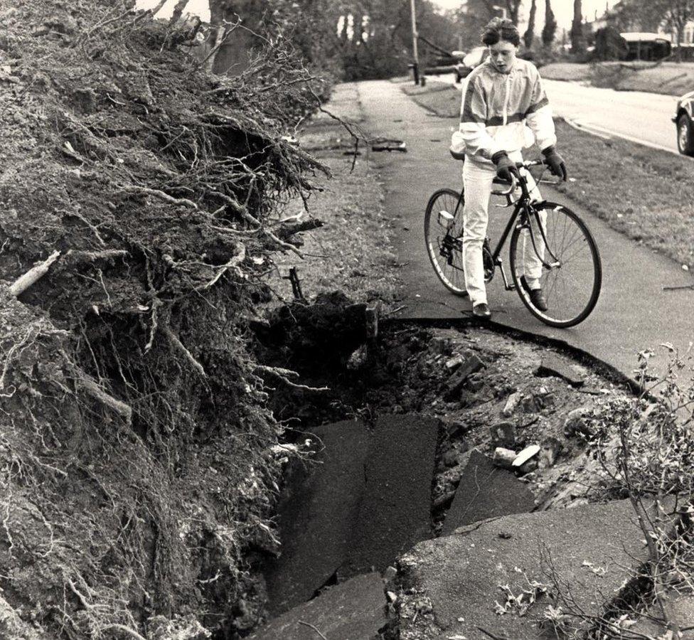 Hole left by uprooted tree in Maidstone