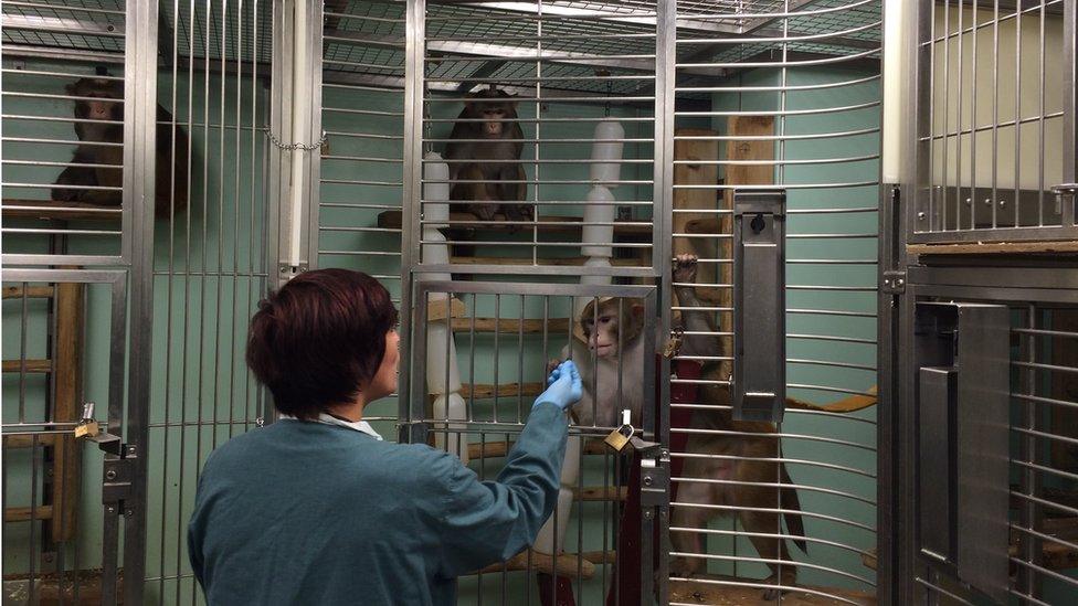 Maria Martinez in the Oxford University laboratories