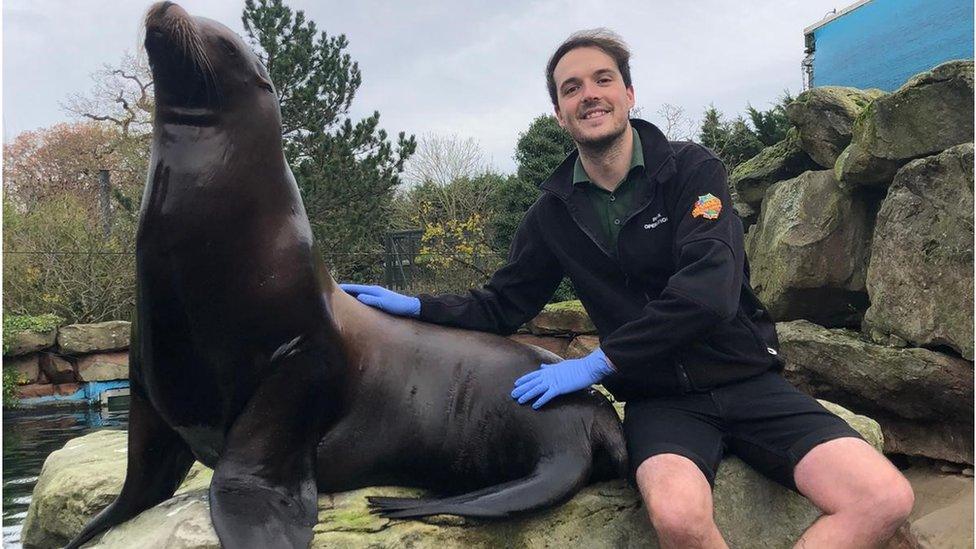 Jamie and Harley the Californian Sea Lion