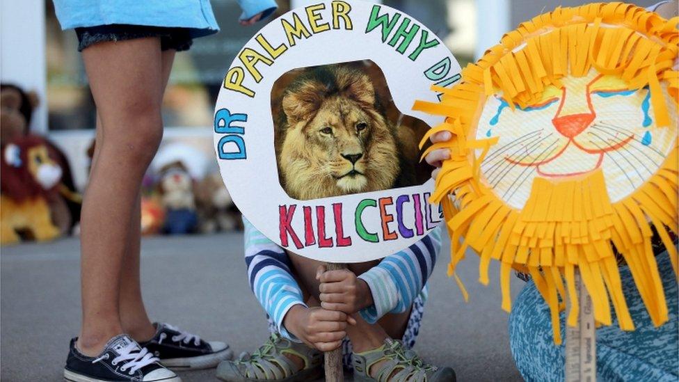 Piper Hoppe, 10, from Minnetonka, Minnesota, holds a sign at the doorway of River Bluff Dental clinic to protest against the killing of a famous lion in Zimbabwe, in Bloomington, Minnesota, July 29, 2015.