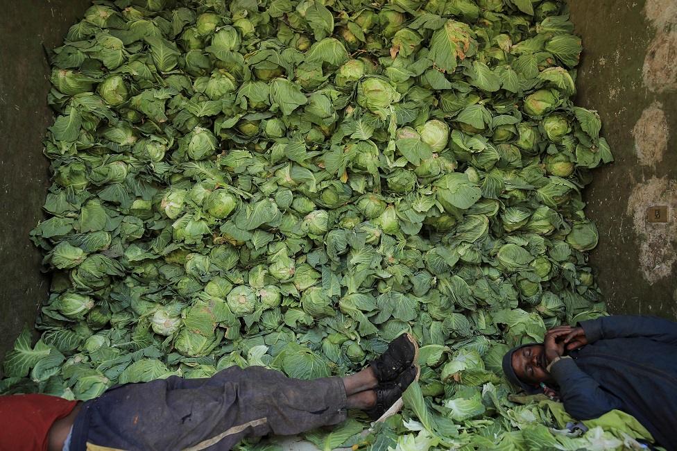 Sellers sleep next to cabbages.