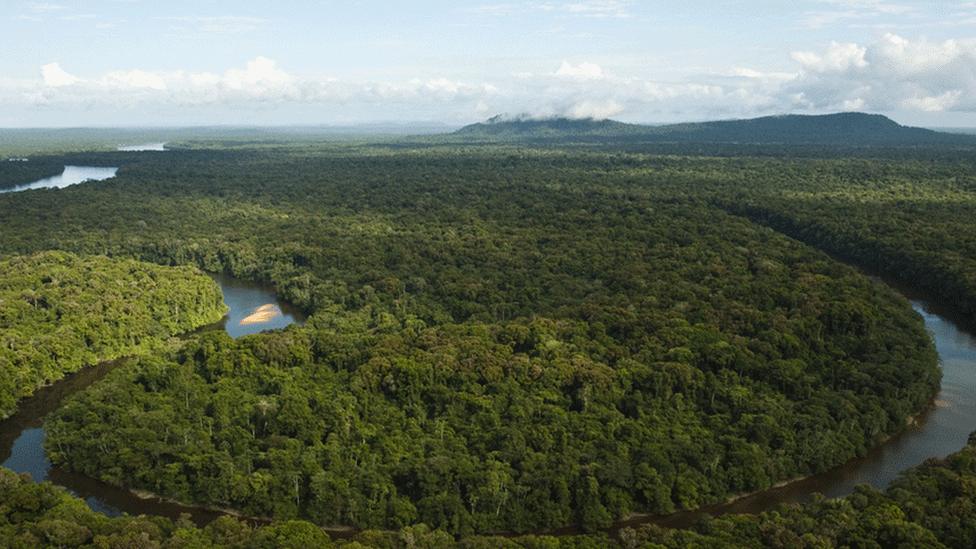 The Essequibo river