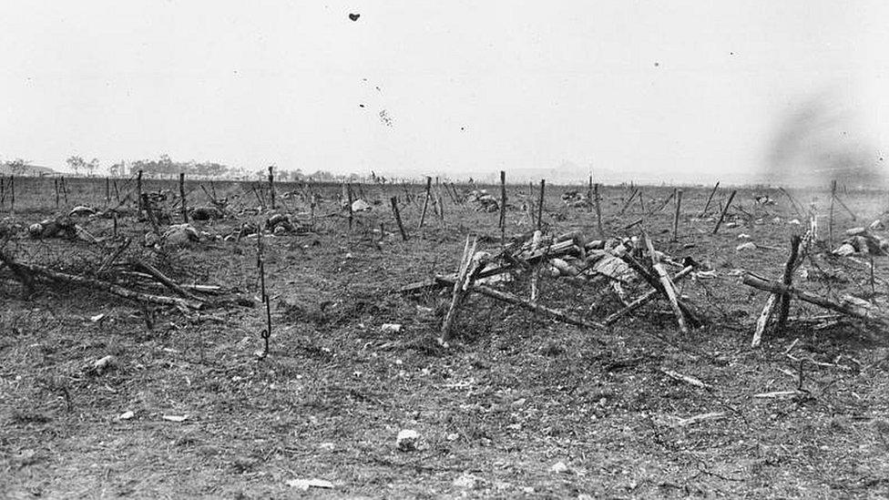 Wire at Loos