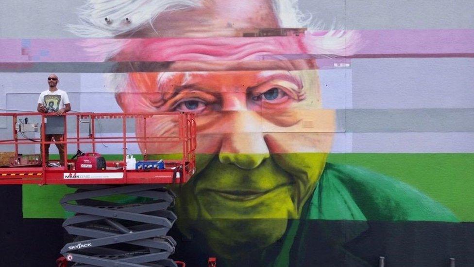 The mural of David Attenborough with artist Scott Irving