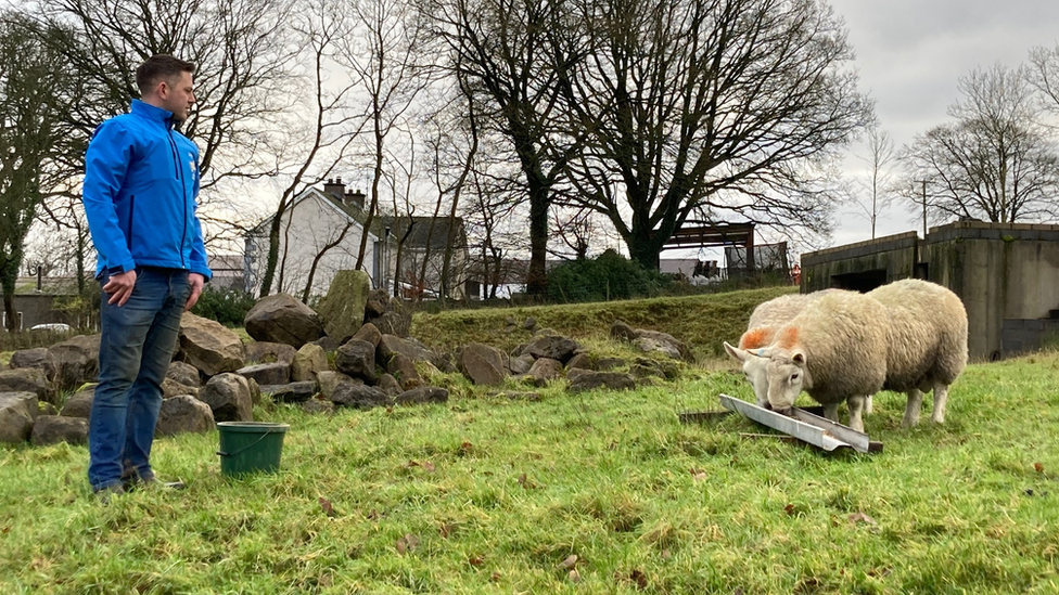 Farmer Alastair Armstrong from Tempo in County Fermanagh with some of the Cheviot sheep he has brought in from Scotland in recent months