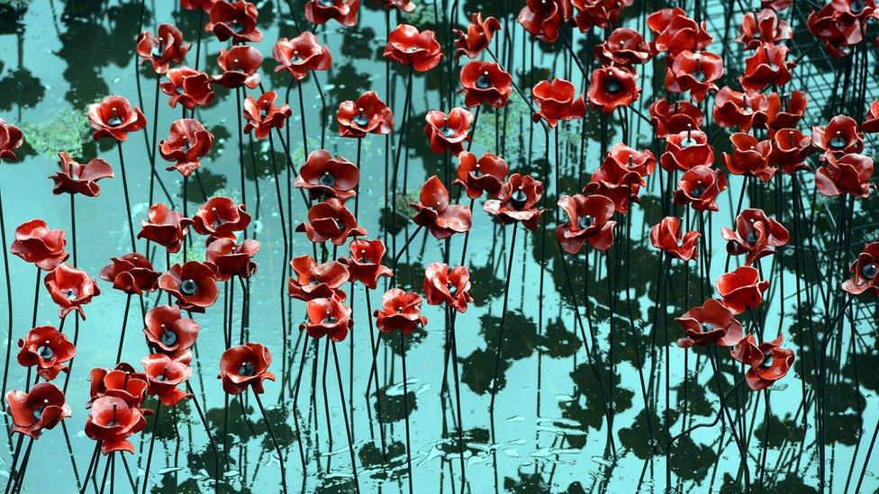 Poppies at Yorkshire Sculpture Park