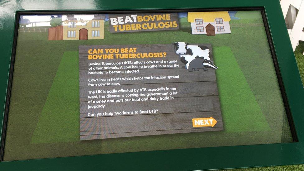 Beat Bovine Tuberculosis game