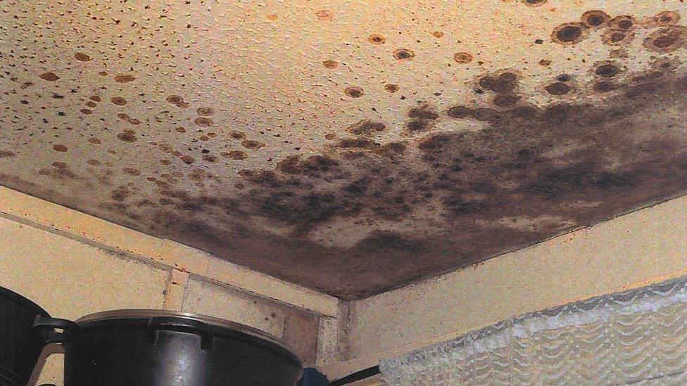 mould on ceiling