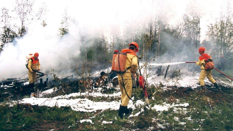 Emergencies ministry officials tackle wildfires in Krasnoyarsk region, Russia. Photo: 1 August 2019