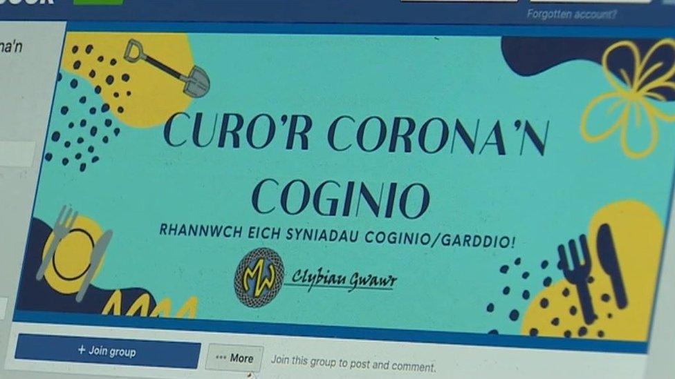 Curo'r Corona'n Coginio