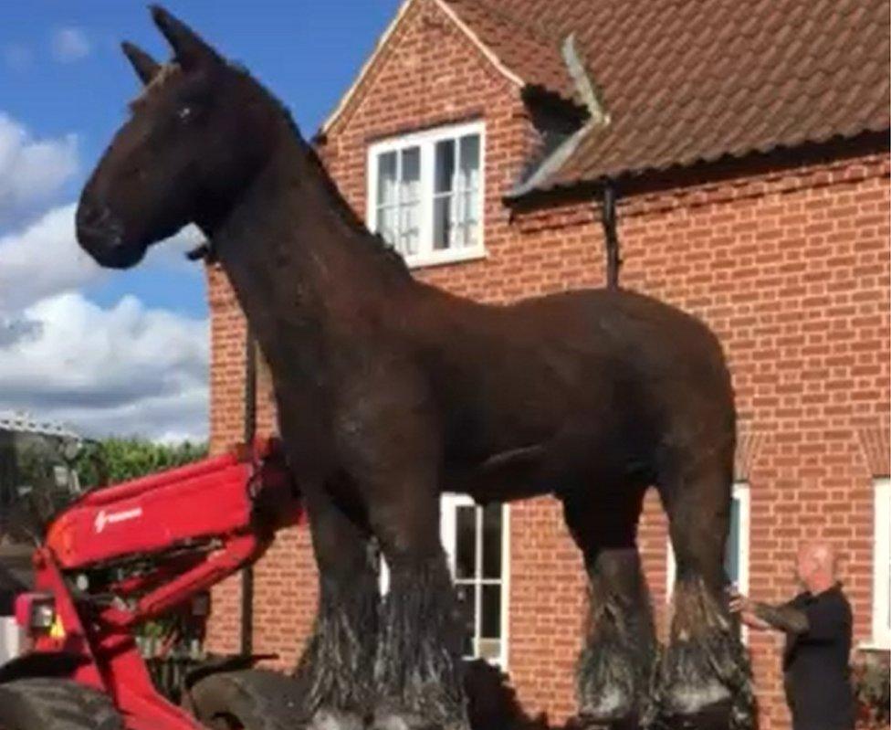 Horse sculpture