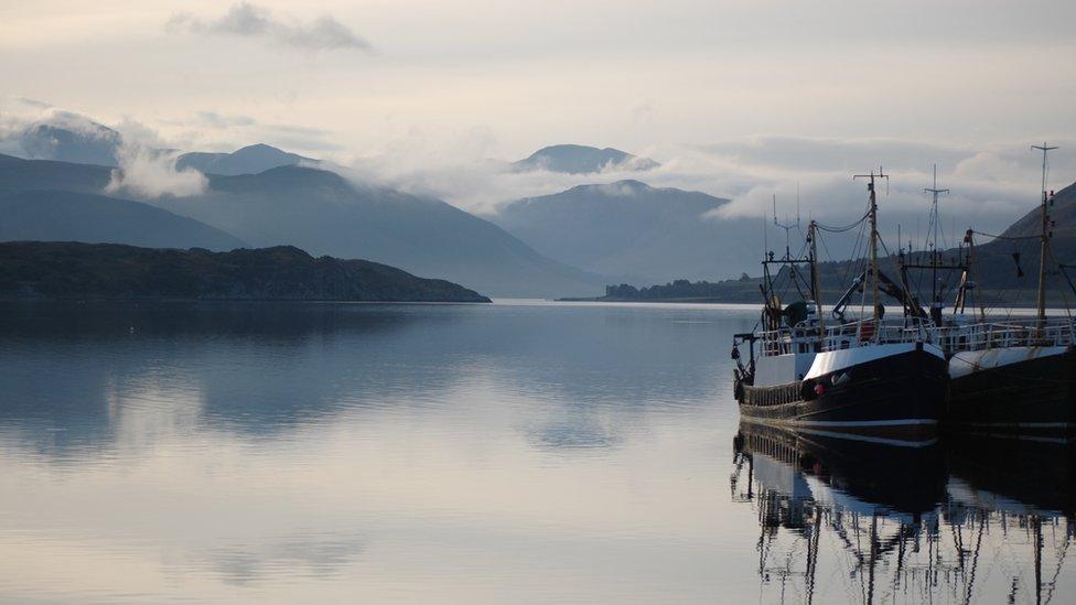 Fishing boats