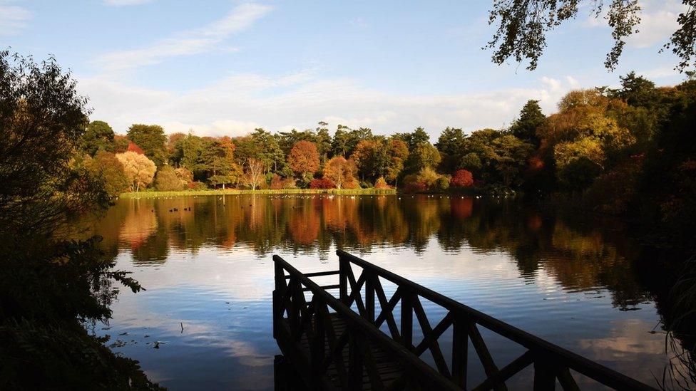 Autumnal woodland at Mount Stewart