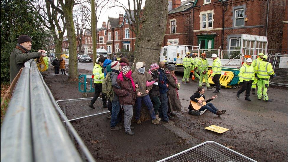 Treehuggers on Meersbrook Park Rd, Monday 22 January 2018