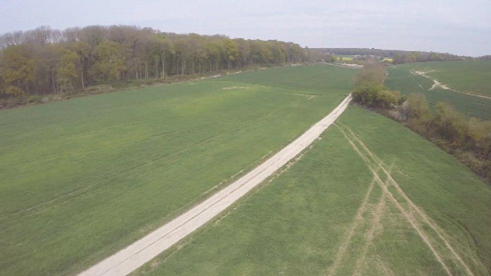 Mametz Wood