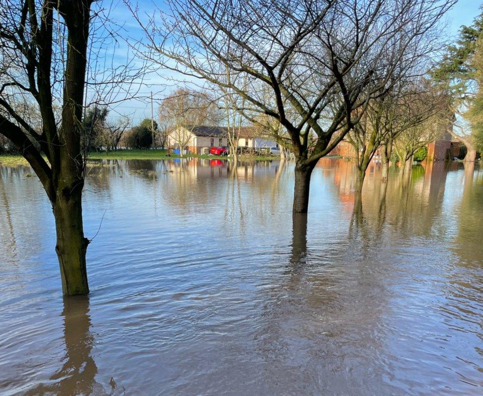 Flooded garden