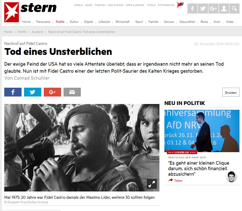 Screengrab from German website Stern