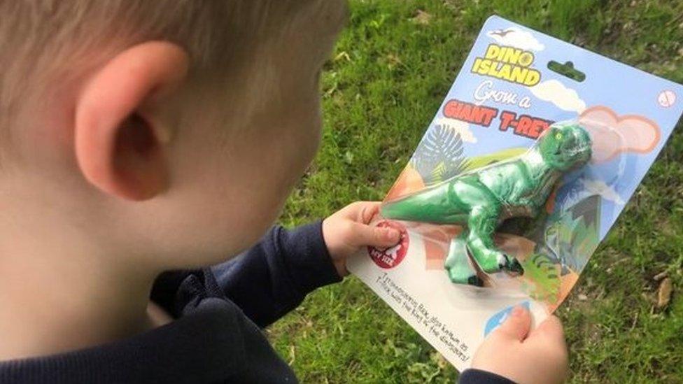 A child looking at a dinosaur toy