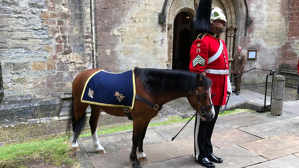 The regimental mascot, Tpr Emrys Forlan Jones