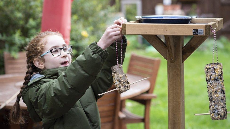 girl-hanging-up-bird-feeders.