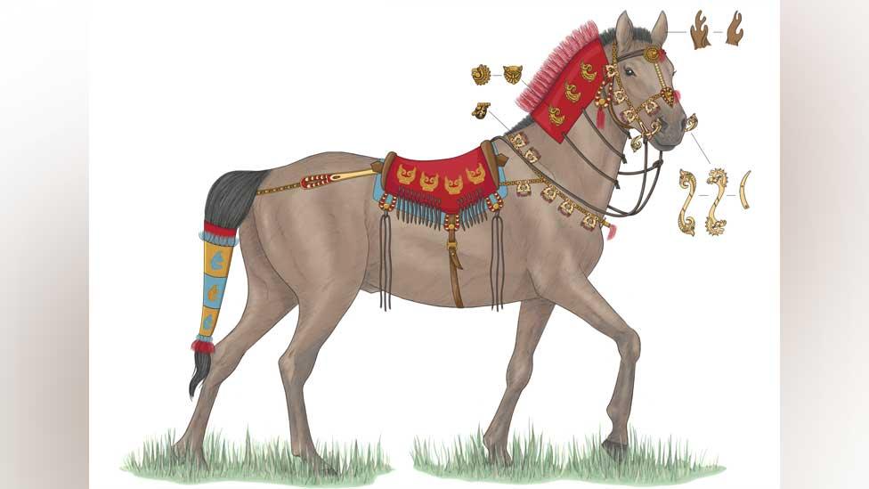 Saka horse unearthed at Berel