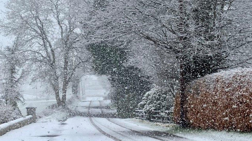 A country lane in Omagh was covered in a blanket of snow