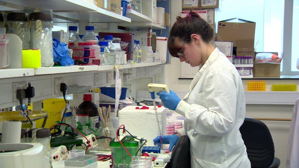 QUB bowel cancer research