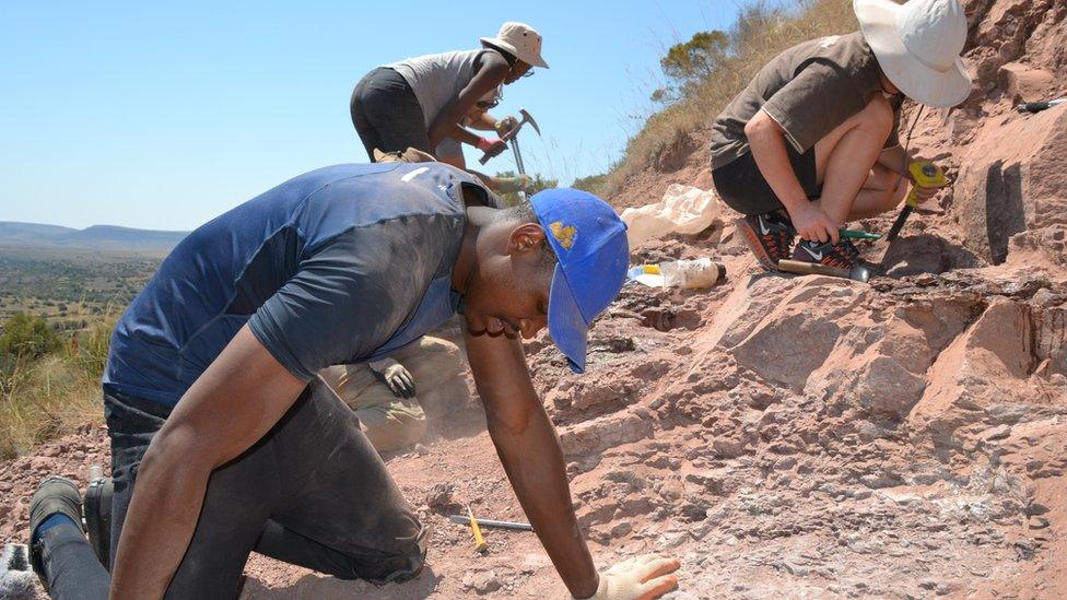 A team of palaeontologists working on a dig