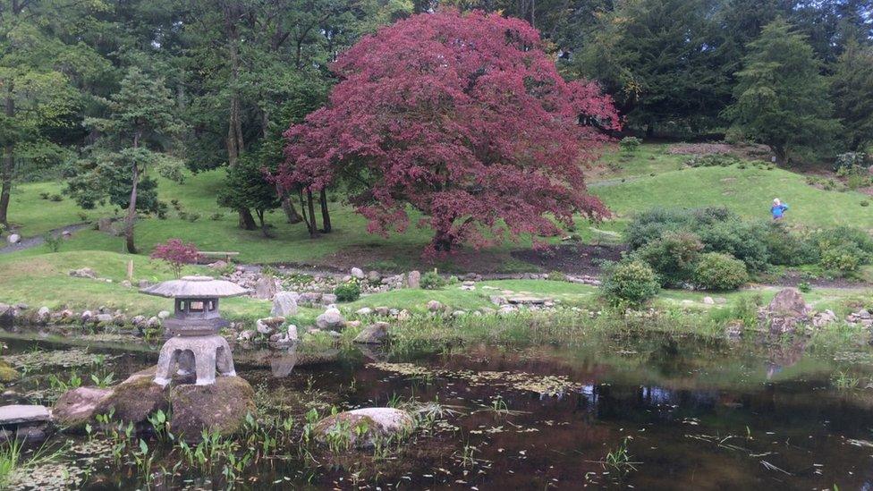 Japanese garden at Cowden Castle