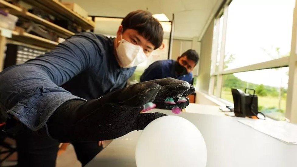 scientists-with-glove-picking-up-object.