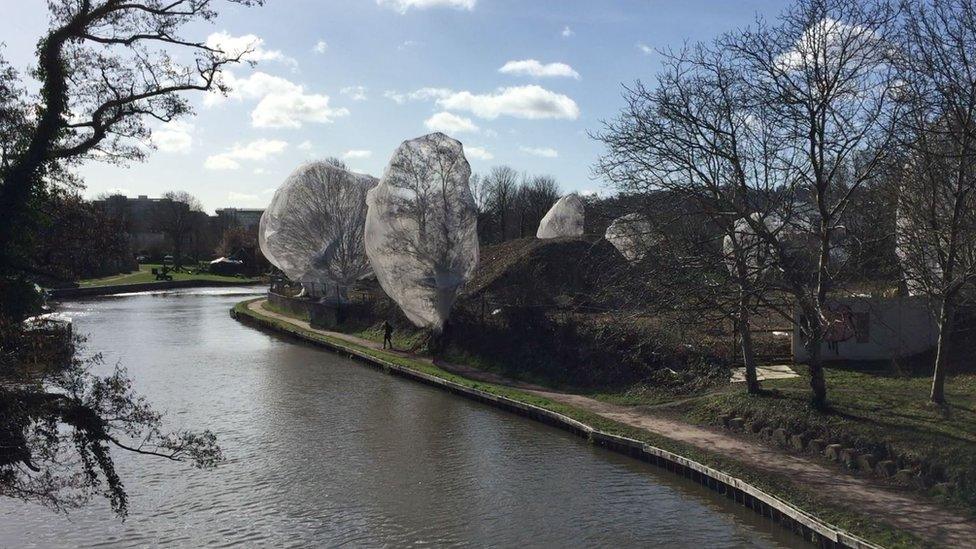 Netted trees in Guildford