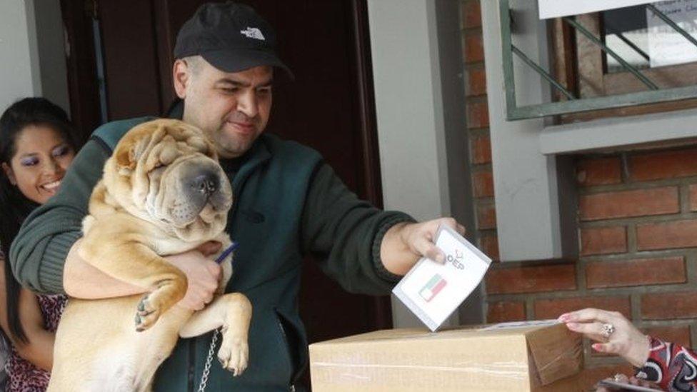 This handout picture shows Bolivian a citizen with his dog casting his vote in the ballot box on 21 February, 2016 in La Paz, Bolivia