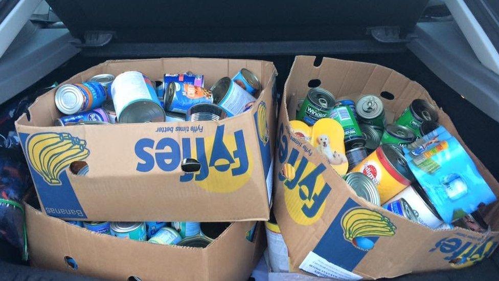 Bags of fog food stuffed in a car boot