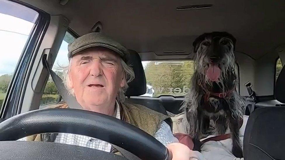 Pat driving with dog Morag in the backseat