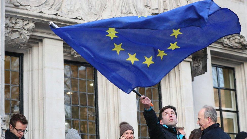 Pro-EU demonstrator outside the Supreme Court on 24 January 2017