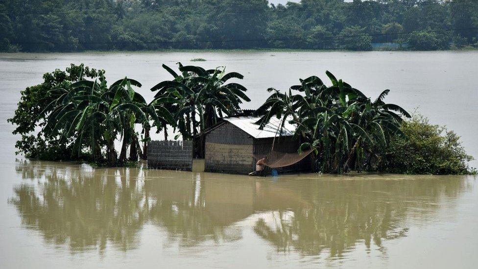 An Indian villager surrounded by floodwaters in Assam in August 2017